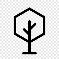 leaves, bark, branches, trunk icon svg