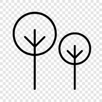 leaves, branches, bark, trunk icon svg