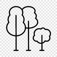 leaves, bark, branches, flowers icon svg