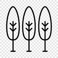 leaves, bark, roots, flowers icon svg