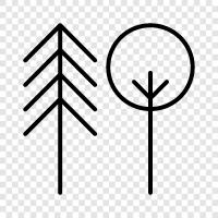 leaves, bark, branches, stem icon svg