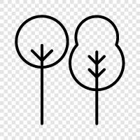 leaves, branches, bark, roots icon svg