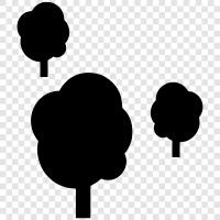 leaves, bark, branches, flowers icon svg