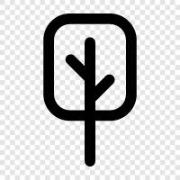 leaves, branches, bark, needles icon svg