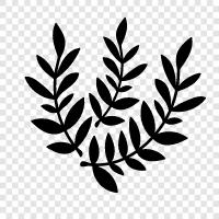 leaves, foliage, trees, greenery icon svg