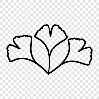 Blätter, Baum, botanische, Gesundheit symbol