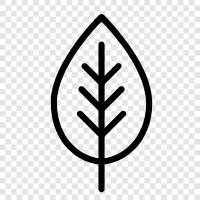 leaves, foliage, tree, forest icon svg