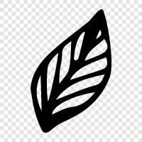 leaves, tree, leaflet, blade icon svg