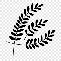 leaves of a plant, tree leaves, green leaves, brown leaves icon svg