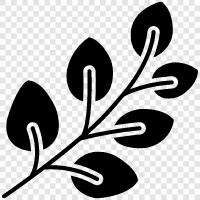 leaves of a tree, leaves of a plant, leaves icon svg