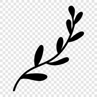Blätter eines Baumes, Blatt, Klinge, Klinge eines Blattes symbol