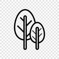 leaves, bark, branches, needles icon svg