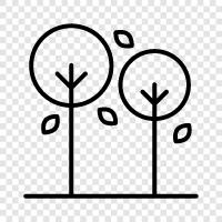 leaves, bark, branches, roots icon svg