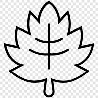 leaves, foliage, tree, sapling icon svg