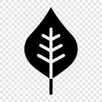 leaves, tree, leaves on a tree, tree leaves icon svg