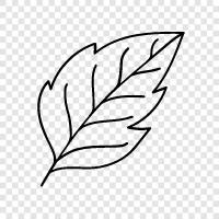 leaves, autumn, tree, bark icon svg