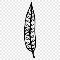 leaves, tree, forest, greenery icon svg