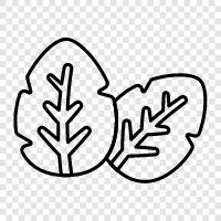 Blätter, Laub, Baum, Wald symbol