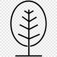 leaves, trunk, branches, bark icon svg