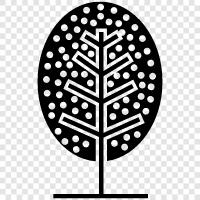 leaves, bark, branches, trunk icon svg