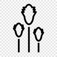 leaves, bark, branches, flowers icon svg