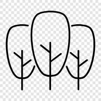 leaves, bark, branches, roots icon svg