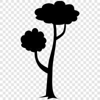 leaves, bark, branches, trunk icon svg