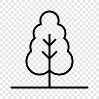 leaves, branches, bark, roots icon svg