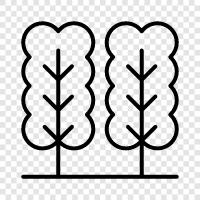 leaves, bark, wood, branches icon svg