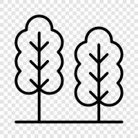 leaves, bark, branches, roots icon svg