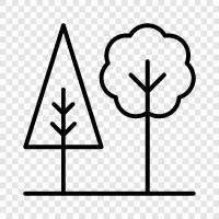 leaves, bark, branches, roots icon svg