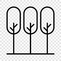 leaves, bark, wood, branches icon svg