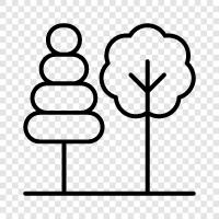 leaves, bark, branches, roots icon svg