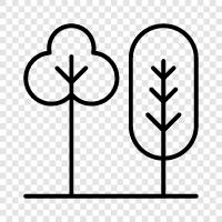 leaves, branches, trunk, bark icon svg