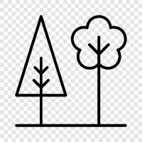 leaves, needles, branches, bark icon svg