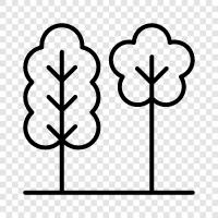 leaves, bark, branches, flowers icon svg