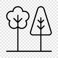 leaves, bark, branches, flowers icon svg