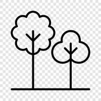 leaves, bark, branches, needles icon svg