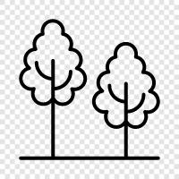 leaves, bark, branches, flowers icon svg