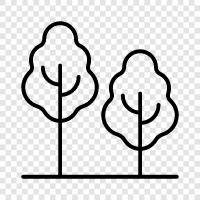 leaves, branches, bark, fruit icon svg