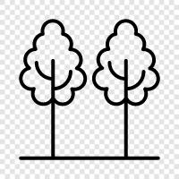 leaves, bark, branches, needles icon svg