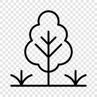 leaves, stem, bark, fruit icon svg