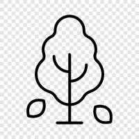 leaves, bark, roots, branches icon svg