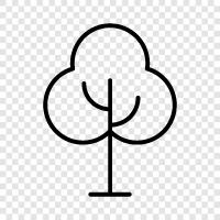 leaves, stem, branches, trees icon svg