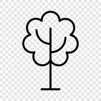 leaves, bark, branches, twigs icon svg