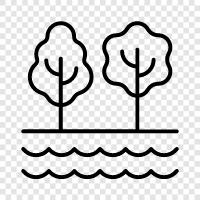 leaves, bark, trunk, branches icon svg