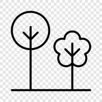 leaves, bark, branches, roots icon svg