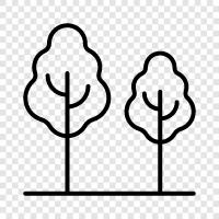 leaves, bark, branches, needles icon svg