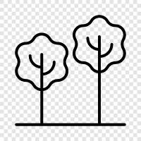 leaves, bark, branches, roots icon svg