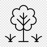 Leaves, Flowers, Fruits, Roots icon svg